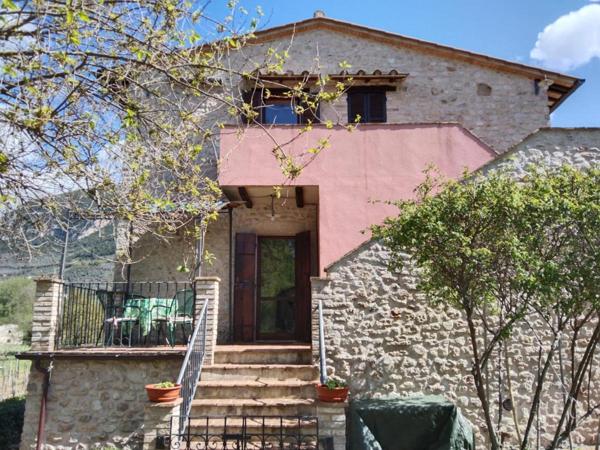 Agriturismo I Melograni Ferentillo المظهر الخارجي الصورة