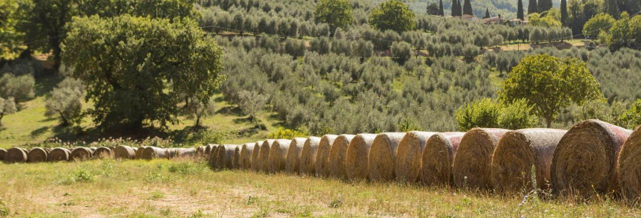 Agriturismo I Melograni Ferentillo المظهر الخارجي الصورة
