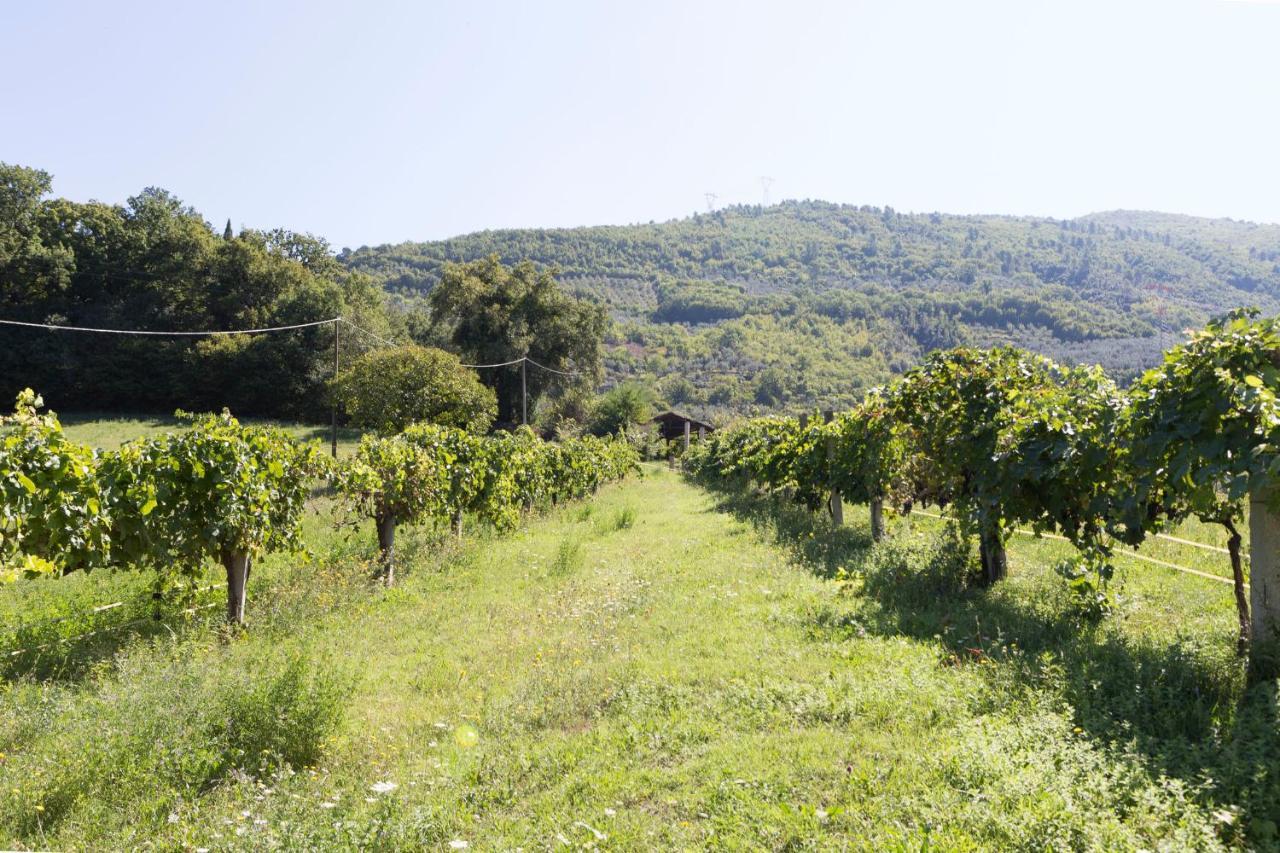 Agriturismo I Melograni Ferentillo المظهر الخارجي الصورة
