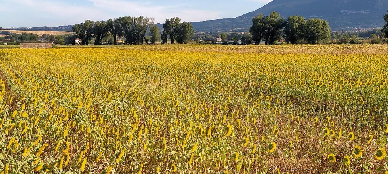 Agriturismo I Melograni Ferentillo المظهر الخارجي الصورة