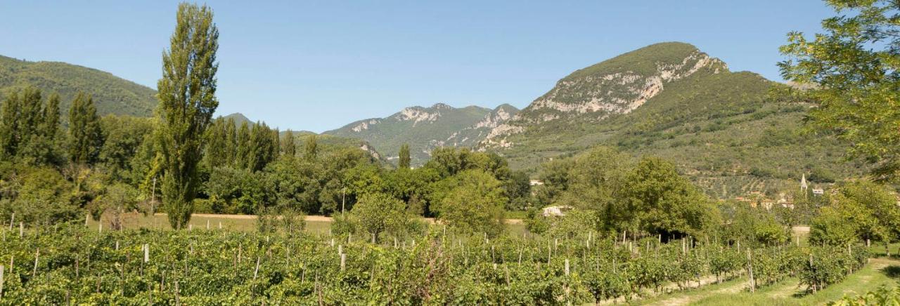 Agriturismo I Melograni Ferentillo المظهر الخارجي الصورة