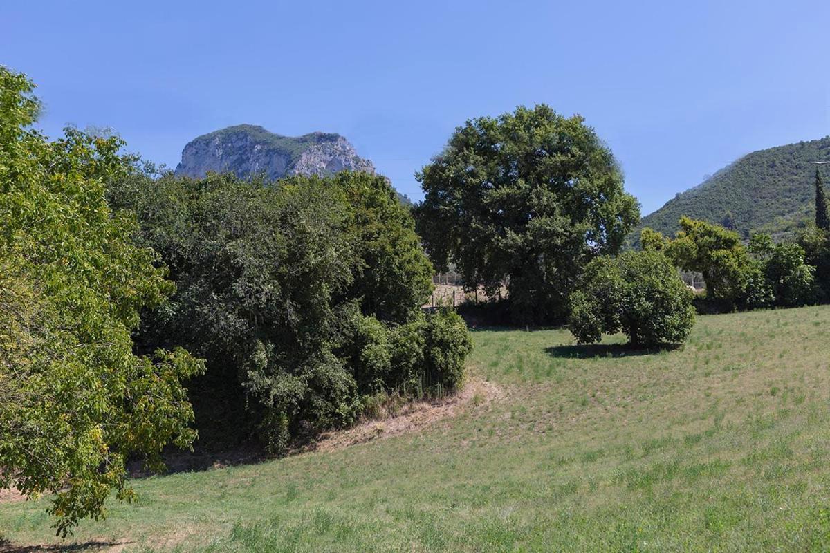 Agriturismo I Melograni Ferentillo المظهر الخارجي الصورة