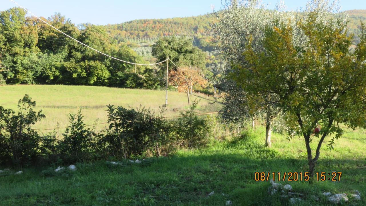 Agriturismo I Melograni Ferentillo المظهر الخارجي الصورة