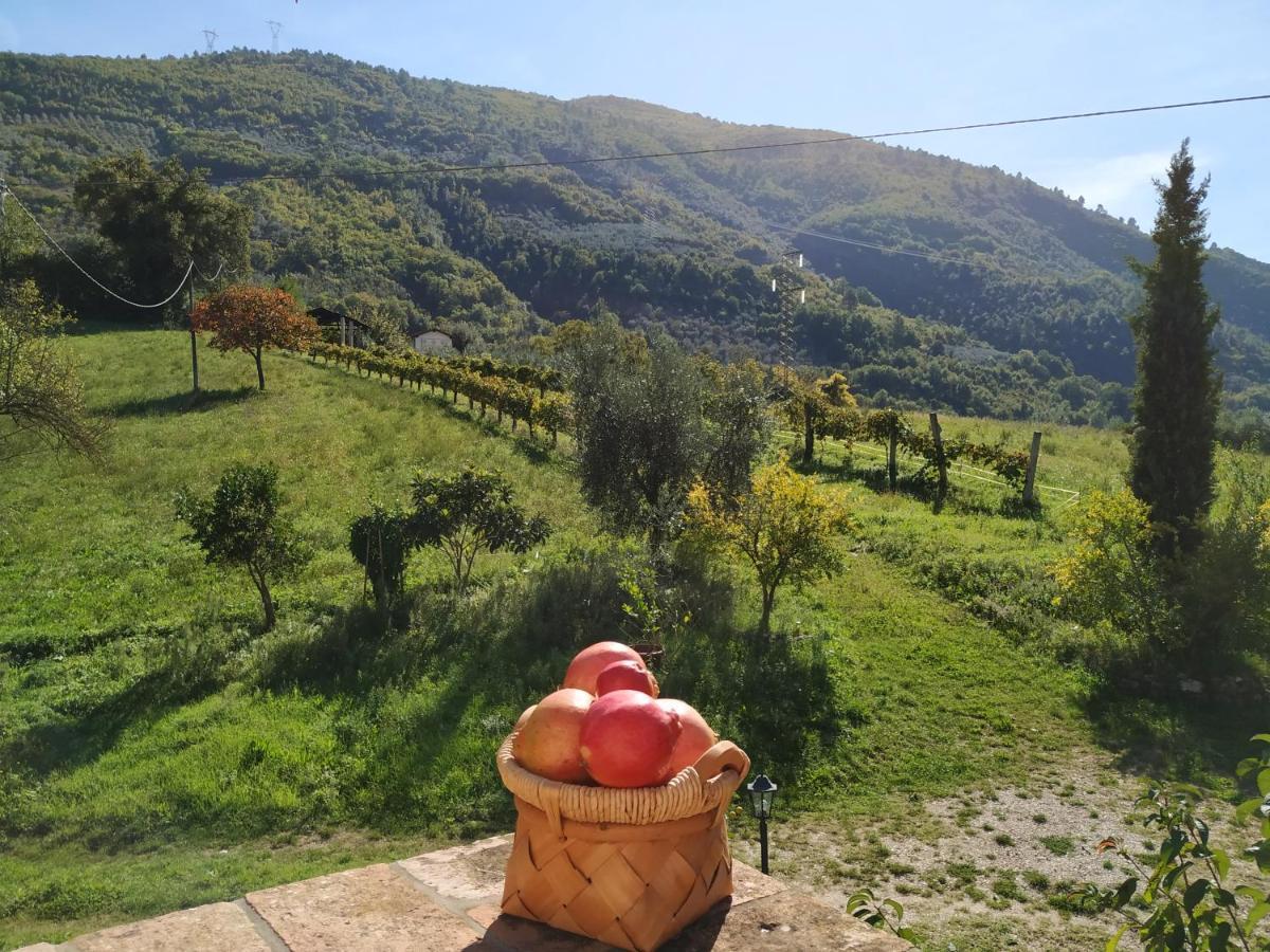 Agriturismo I Melograni Ferentillo المظهر الخارجي الصورة