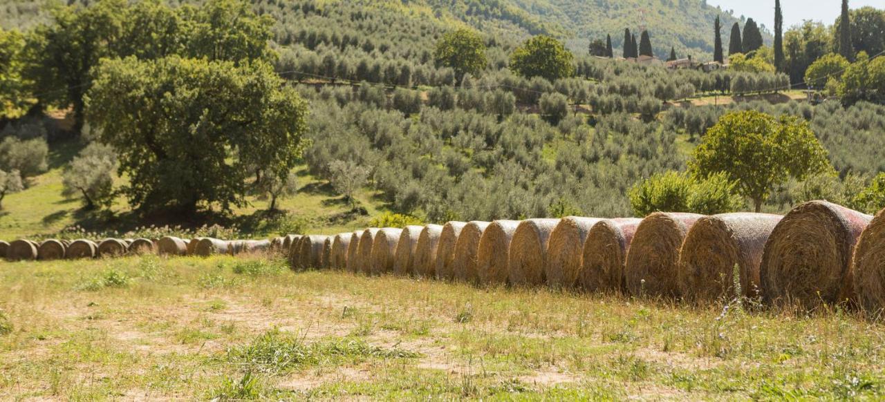 Agriturismo I Melograni Ferentillo المظهر الخارجي الصورة