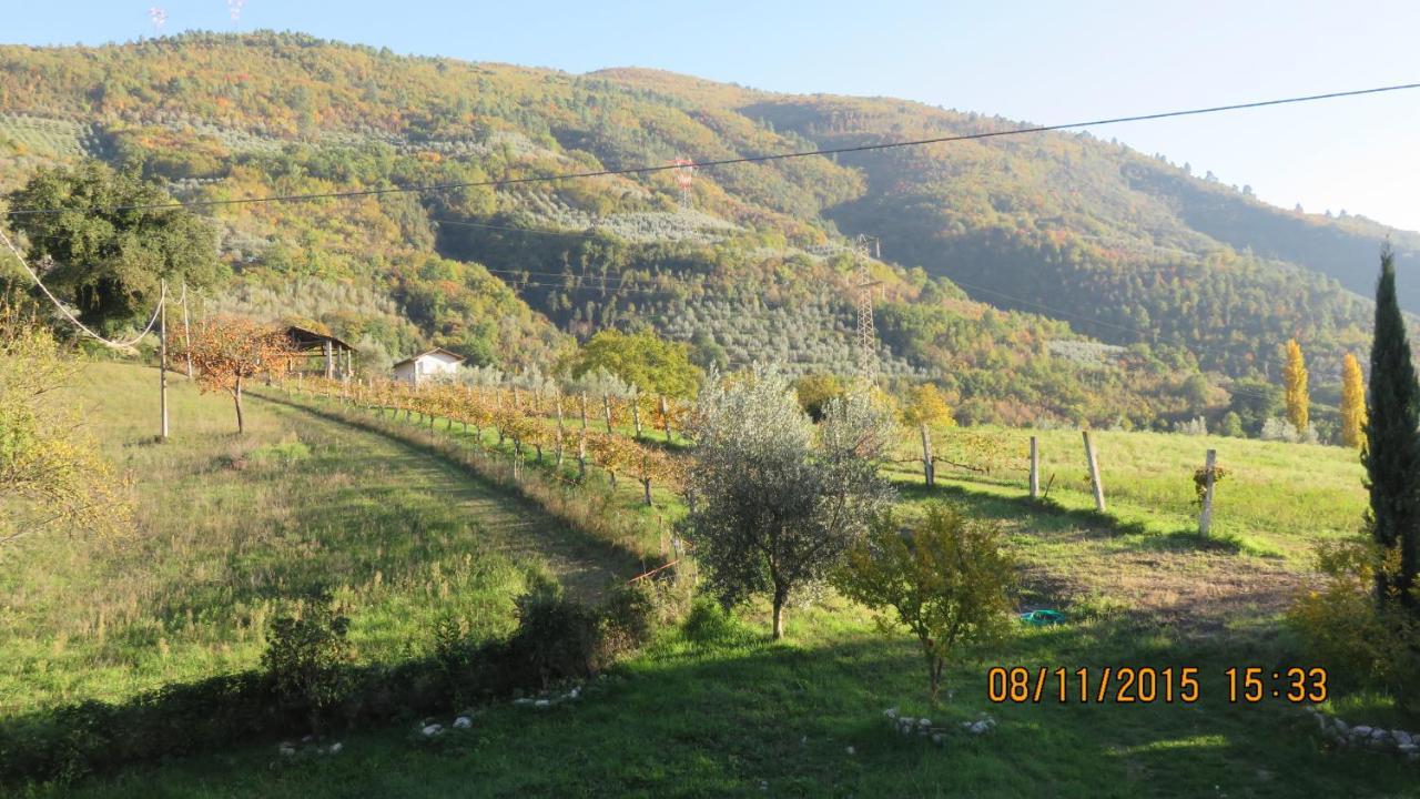 Agriturismo I Melograni Ferentillo المظهر الخارجي الصورة