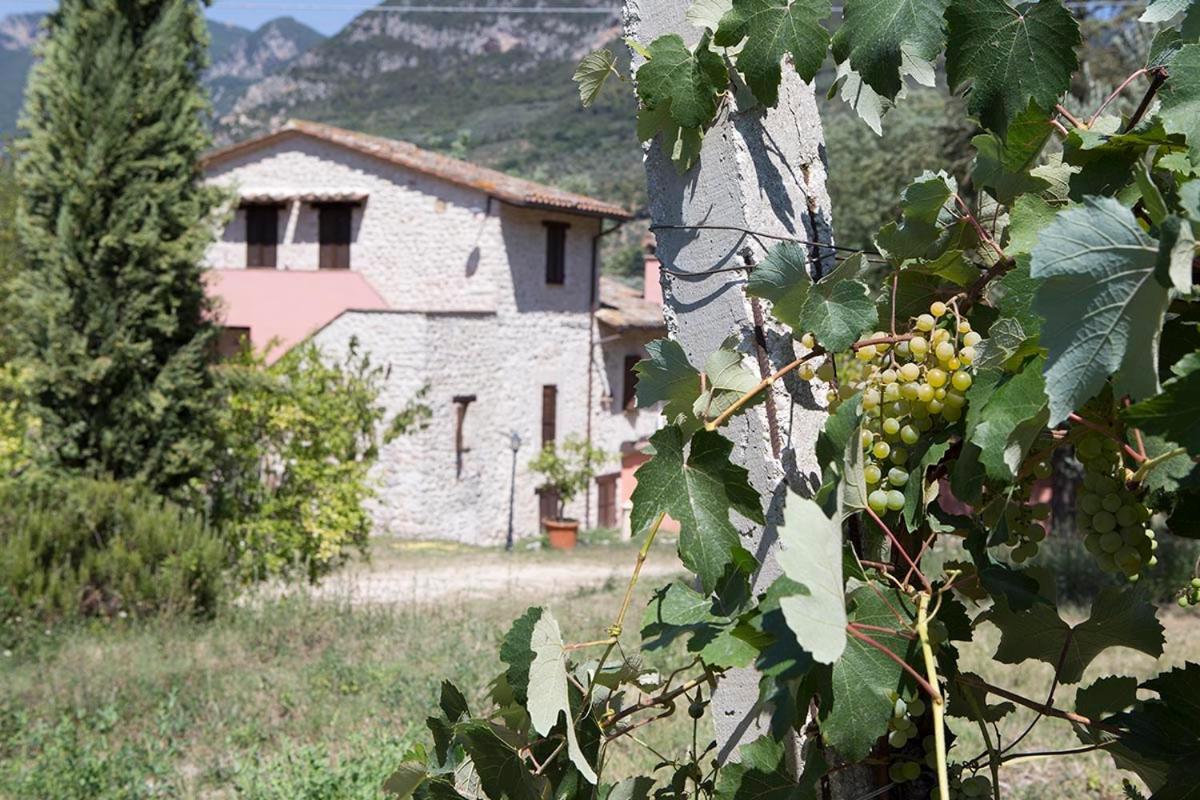 Agriturismo I Melograni Ferentillo المظهر الخارجي الصورة