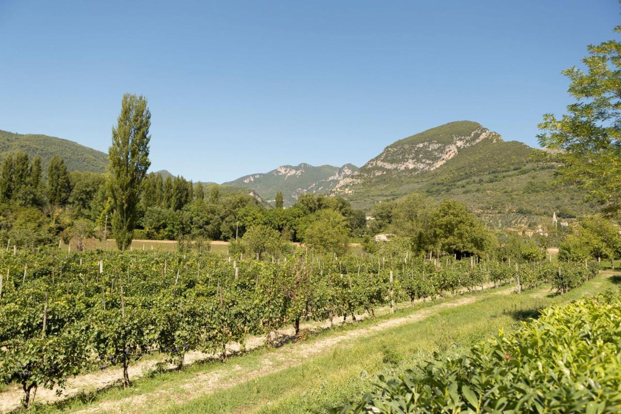 Agriturismo I Melograni Ferentillo المظهر الخارجي الصورة