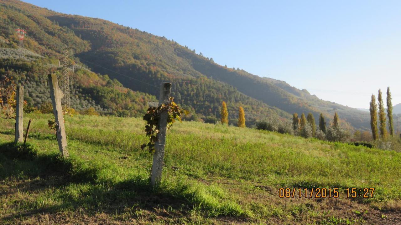 Agriturismo I Melograni Ferentillo المظهر الخارجي الصورة