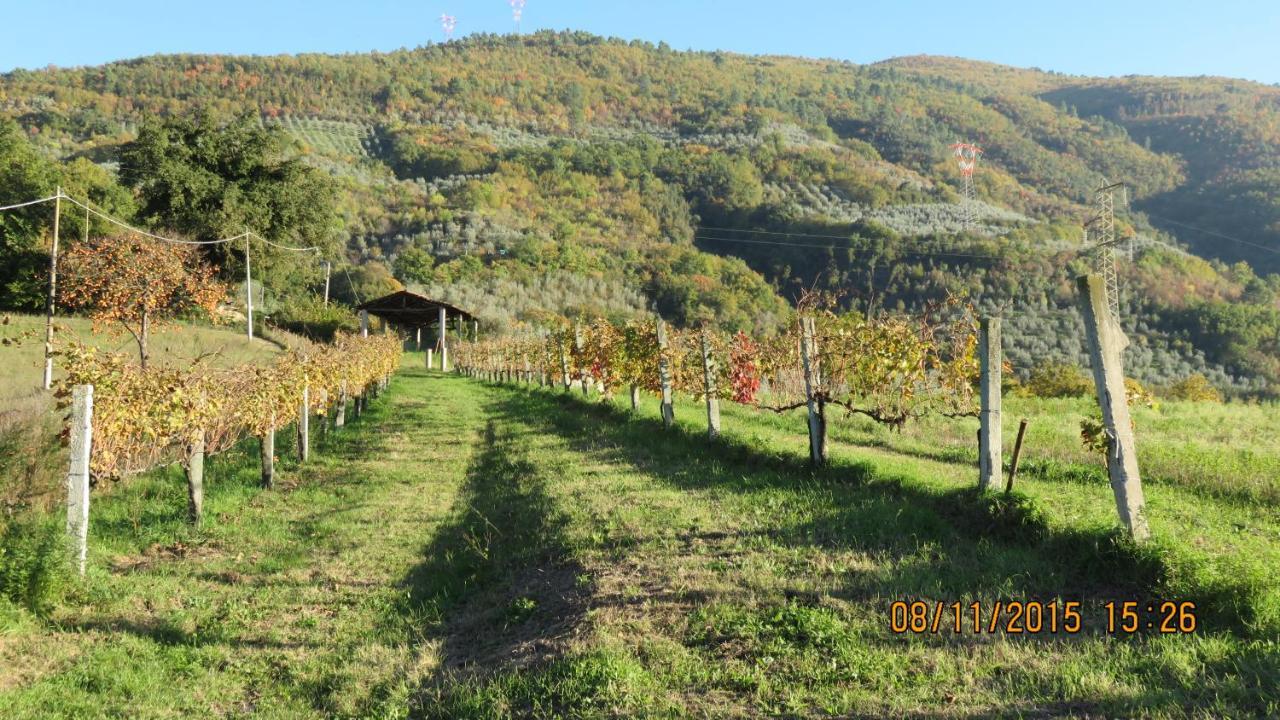 Agriturismo I Melograni Ferentillo المظهر الخارجي الصورة